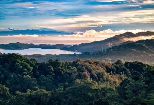 0dc15745-ec6c-4dfb-a3d9-b59266279c35