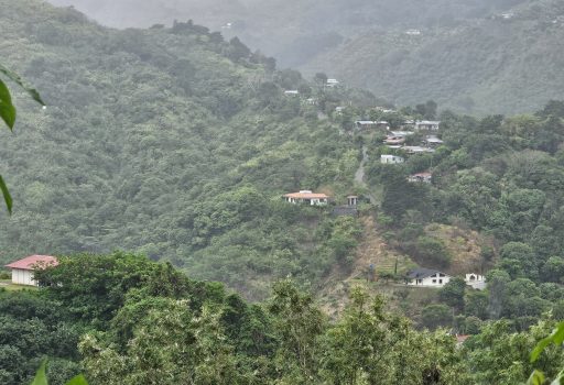 Imagen-de-WhatsApp-2025-06-08-a-las-17.48.05_71f1ccbb-1-scaled